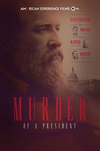 Murder of a President movie poster