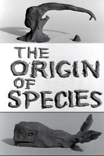 Clay or The Origin of Species movie poster