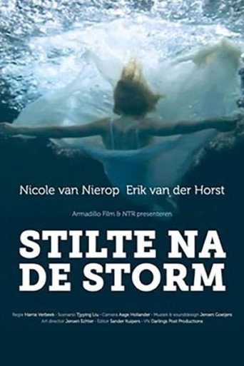 Stilte na de storm movie poster