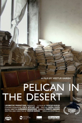 Pelican in the Desert movie poster