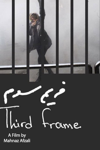 The Third Frame movie poster
