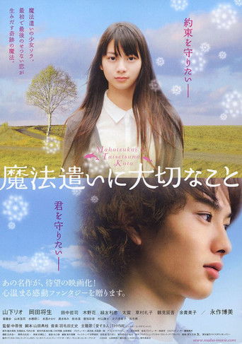 Someday's Dreamers movie poster