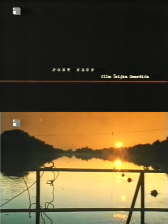 Pont Neuf movie poster