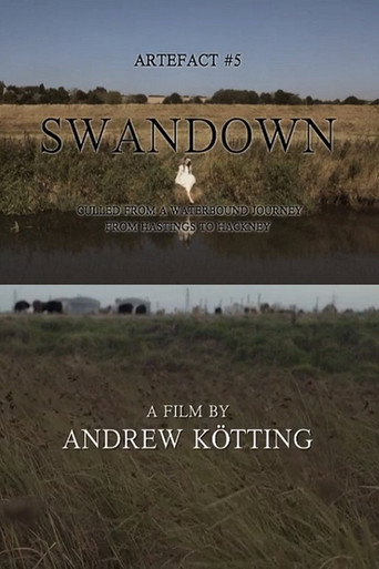 Artefact #5: Swandown – Culled from a Waterbound Journey from Hastings to Hackney movie poster