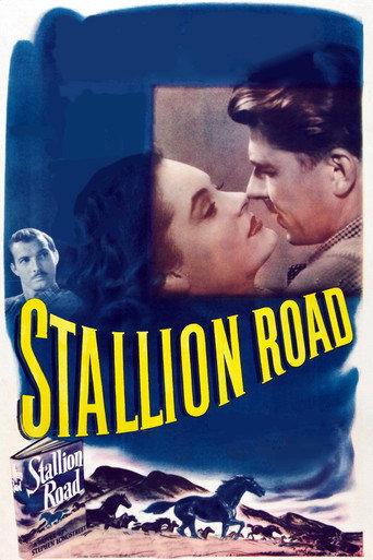 Stallion Road movie poster