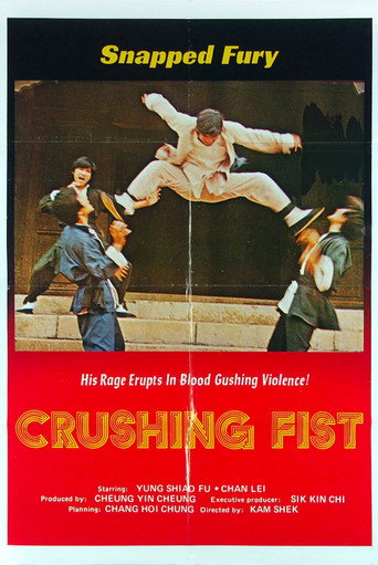 The Great Chinese Boxer movie poster