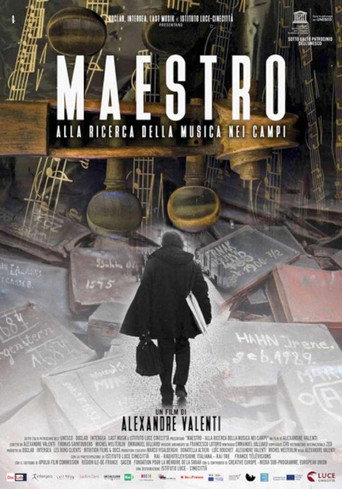 Maestro movie poster
