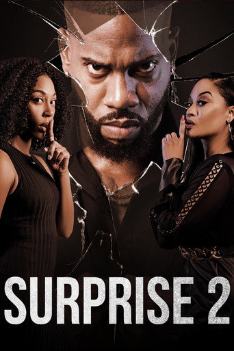 Surprise 2 movie poster