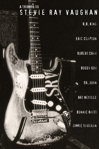 A Tribute to Stevie Ray Vaughan movie poster