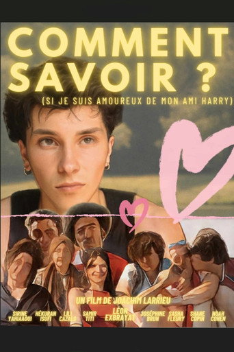 How Do I Know? movie poster