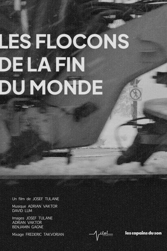 Snowflakes at the End of the World movie poster