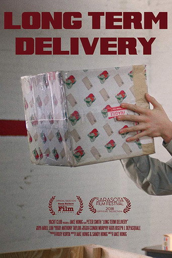 Long Term Delivery movie poster
