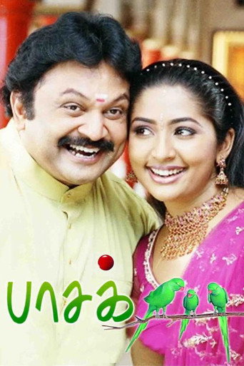 Pasa movie poster