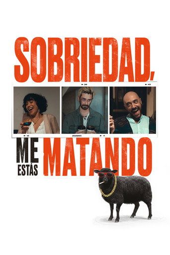 Dear Sobriety: You're Killing Me movie poster