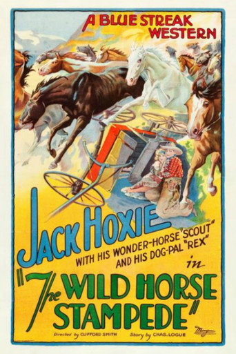 The Wild Horse Stampede movie poster