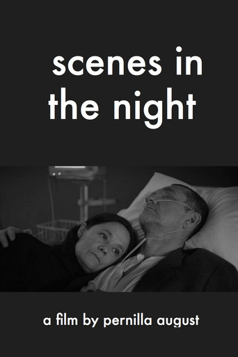 Scenes in the Night movie poster