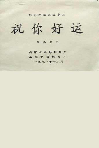 祝你好运 movie poster