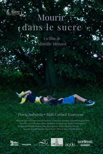 Mourir dans le sucre movie poster