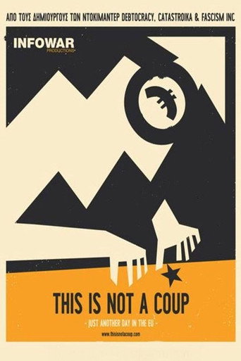 This Is Not a Coup movie poster