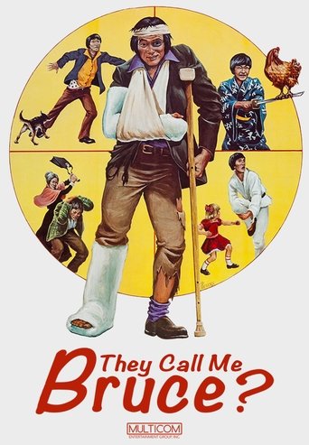 They Call Me Bruce? movie poster