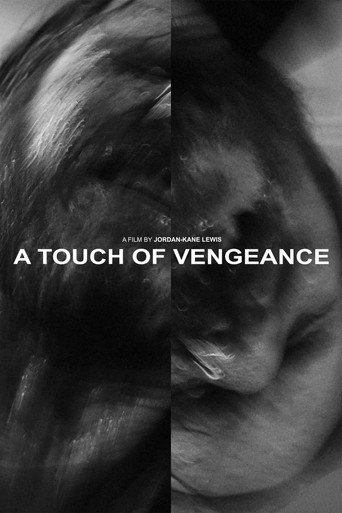 A Touch of Vengeance movie poster