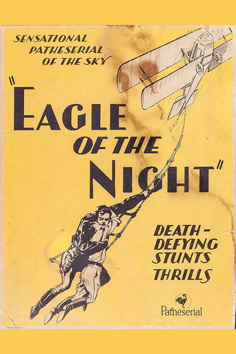 Eagle of the Night movie poster