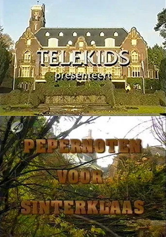 Pepernoten voor Sinterklaas movie poster