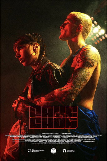 Fake Shot movie poster