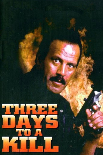 Three Days to a Kill movie poster