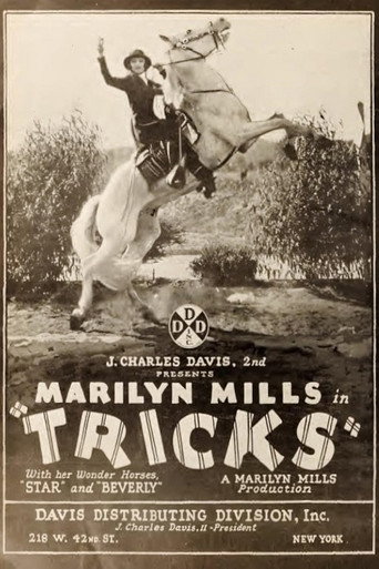 Tricks movie poster