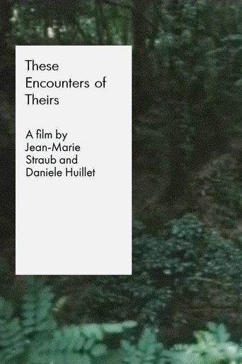 These Encounters of Theirs movie poster