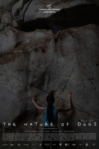 The Nature of Dogs movie poster
