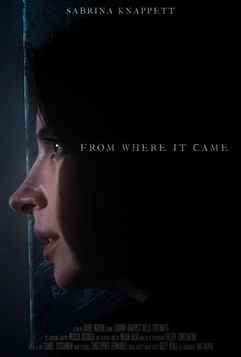 From Where It Came movie poster
