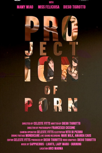 Projection of Porn movie poster