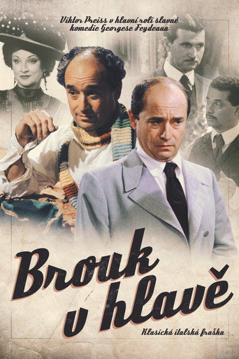 Brouk v hlavě movie poster