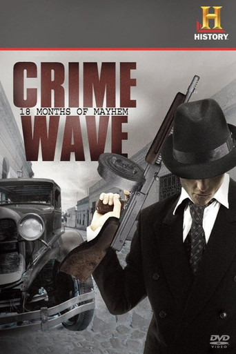 Crime Wave: 18 Months of Mayhem movie poster