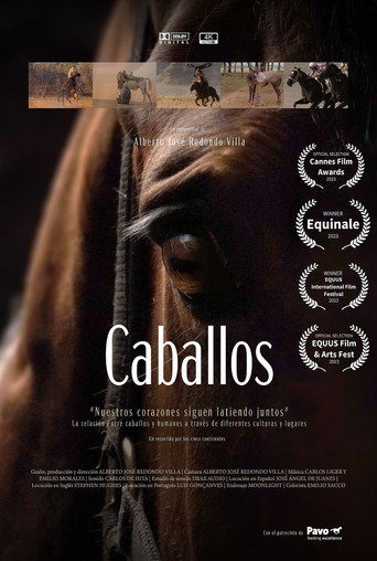 Caballos movie poster