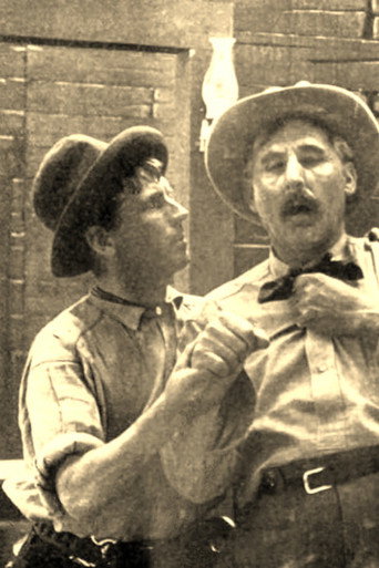 The Stage Driver's Daughter movie poster