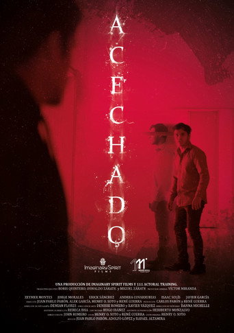 Followed movie poster