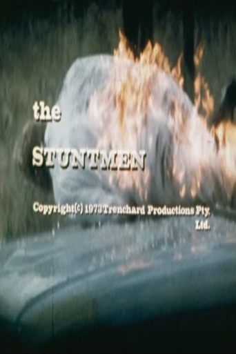 The Stuntmen movie poster