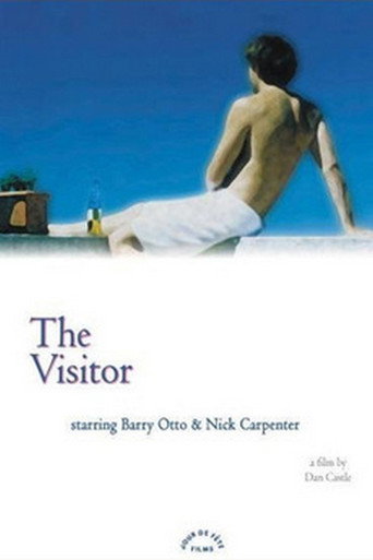 The Visitor movie poster
