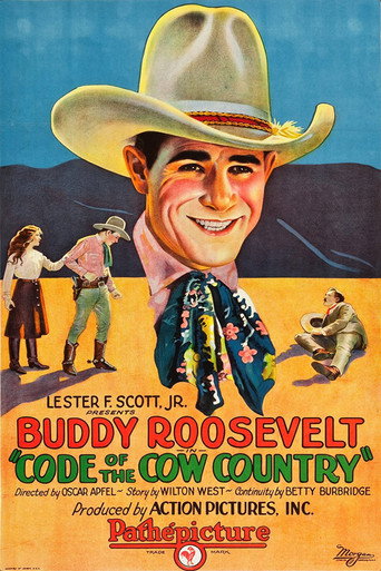 Code of the Cow Country movie poster
