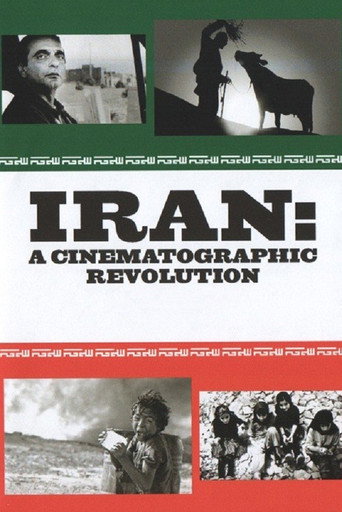 Iran: A Cinematographic Revolution movie poster