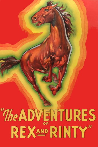 The Adventures of Rex and Rinty movie poster