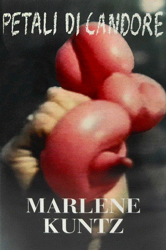 Marlene Kuntz: Petali di Candore movie poster