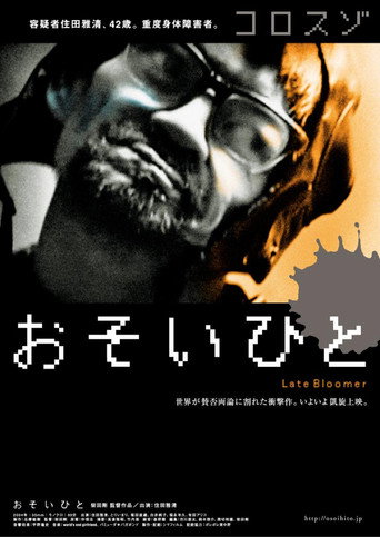 Late Bloomer movie poster
