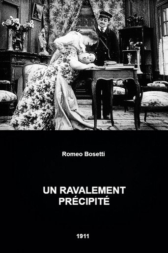 A Hasty Renovation movie poster