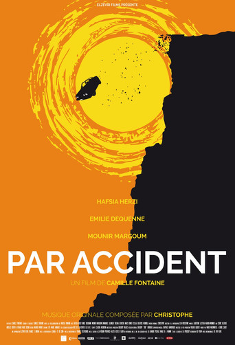Par accident movie poster