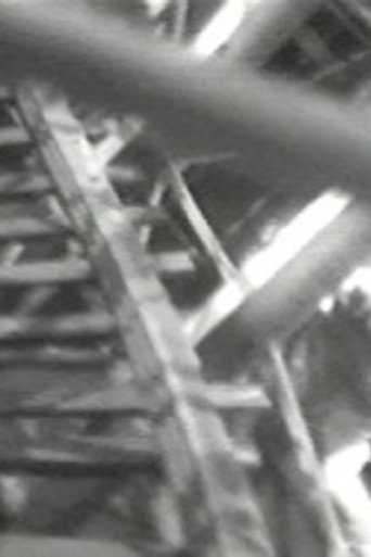 Four Motion Studies movie poster