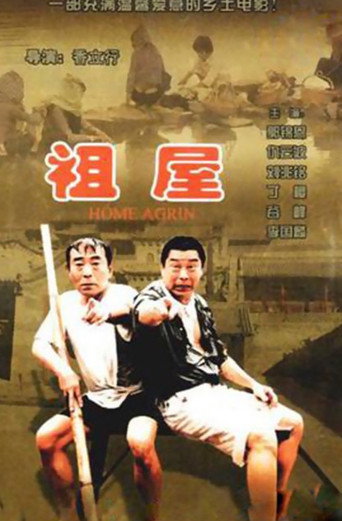 Home Again movie poster